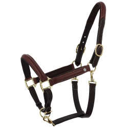 Cabezada de grooming de cuero aceitado Norton Spring Havana Marrón Cabezada de grooming de cuero aceitado Norton Spring Havana Marrón