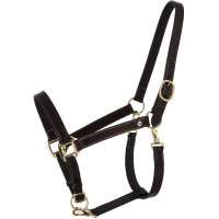 Cabezada de grooming en cuero aceitado Norton Derby Havana Marrón Cabezada de grooming en cuero aceitado Norton Derby Havana Marrón