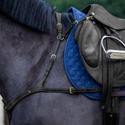 Pechopetral Anatómico Dy'on D Collection Negro