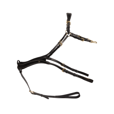 Pechopetral Anatómico Dy'on D Collection Negro