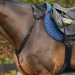 Pechopetral con Puente Dy'on Colección D Negro