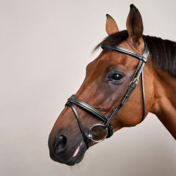 Cabezada con Muserola Combinada Dy'on D Collection Negro