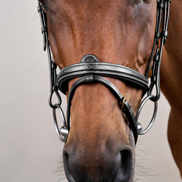 Cabezada con Muserola Combinada Dy'on D Collection Negro