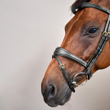 Brida Muserola Combinada Anatómica Dy'on D Collection Negro