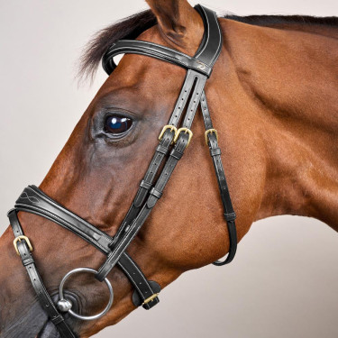 Brida Muserola Combinada Anatómica Dy'on D Collection Negro