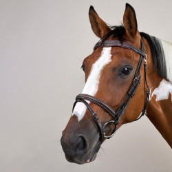 Brida Muserola Combinada Con Mosquetón Dy'on Working Castaño Marrón