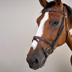 Brida Muserola Combinada Con Mosquetón Dy'on Working Castaño Marrón