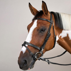 Brida de Cuero Plano con Mosquetones Working by Dy'on Negro