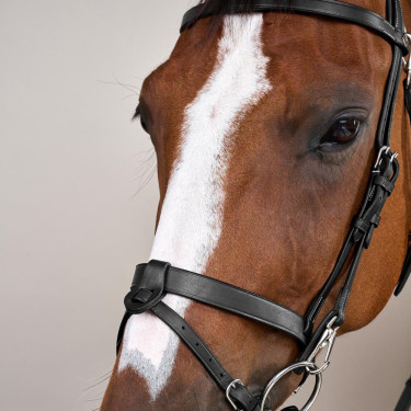 Brida de Cuero Plano con Mosquetones Working by Dy'on Negro