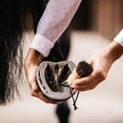 Pequeño limpiacascos Kentucky Castaño Marrón Pequeño limpiacascos Kentucky Castaño Marrón