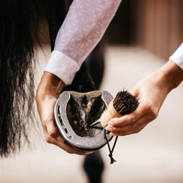 Pequeño limpiacascos Kentucky Castaño Marrón Pequeño limpiacascos Kentucky Castaño Marrón