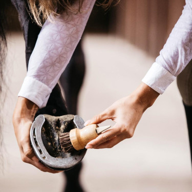 Pequeño limpiacascos Kentucky Castaño Marrón Pequeño limpiacascos Kentucky Castaño Marrón