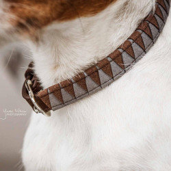 Collar para perro Triangle Kentucky Castaño Marrón