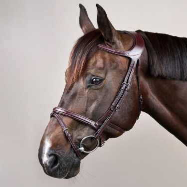 Brida Différence New English Collection de Dy'on Marrón Brida Différence New English Collection de Dy'on Marrón