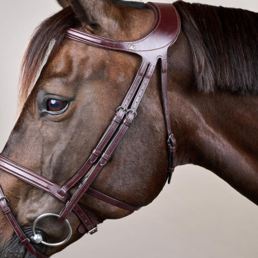 Brida Différence New English Collection de Dy'on Marrón Brida Différence New English Collection de Dy'on Marrón