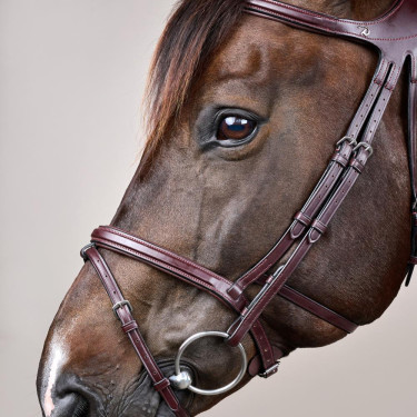 Brida Différence New English Collection de Dy'on Marrón Brida Différence New English Collection de Dy'on Marrón