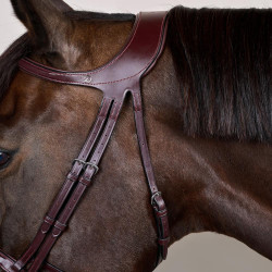 Brida Différence New English Collection de Dy'on Marrón Brida Différence New English Collection de Dy'on Marrón