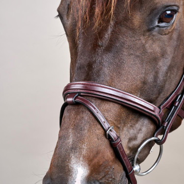 Brida Différence New English Collection de Dy'on Marrón Brida Différence New English Collection de Dy'on Marrón