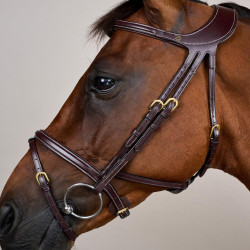 Brida Différence D Collection por Dy'on Marrón