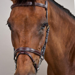 Brida Différence D Collection por Dy'on Marrón