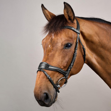 Brida D Motion New English Collection de Dy'on Negro