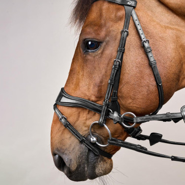 Brida D Motion New English Collection de Dy'on Negro