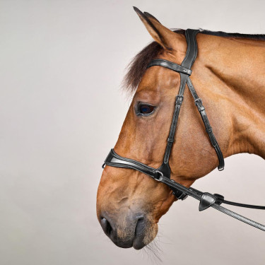 Brida D Motion New English Collection de Dy'on Negro