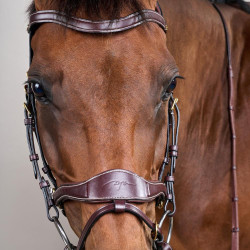 Brida D Motion D Collection de Dy'on Castaño Marrón Brida D Motion D Collection de Dy'on Castaño Marrón