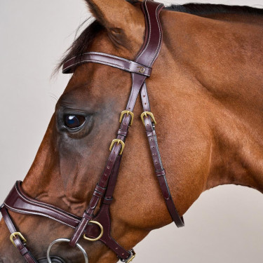 Brida D Motion D Collection de Dy'on Castaño Marrón Brida D Motion D Collection de Dy'on Castaño Marrón