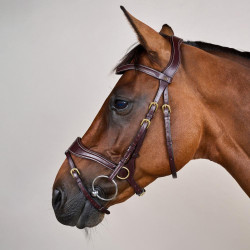 Brida D Motion D Collection de Dy'on Castaño Marrón Brida D Motion D Collection de Dy'on Castaño Marrón