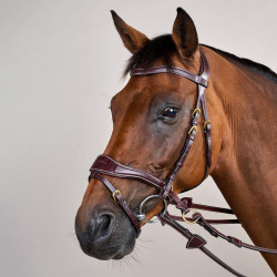 Brida D Motion D Collection de Dy'on Castaño Marrón Brida D Motion D Collection de Dy'on Castaño Marrón