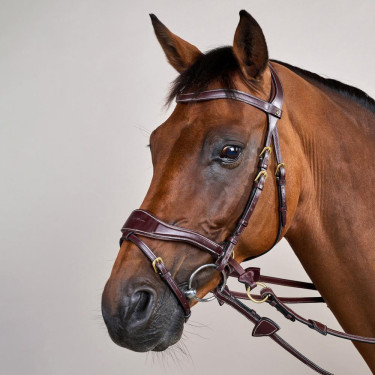 Brida D Motion D Collection de Dy'on Castaño Marrón Brida D Motion D Collection de Dy'on Castaño Marrón