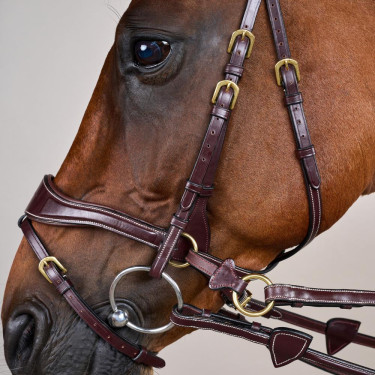 Brida D Motion D Collection de Dy'on Castaño Marrón Brida D Motion D Collection de Dy'on Castaño Marrón