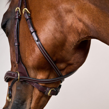 Brida D Motion D Collection de Dy'on Castaño Marrón Brida D Motion D Collection de Dy'on Castaño Marrón