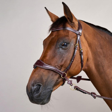 Brida D Motion D Collection de Dy'on Castaño Marrón Brida D Motion D Collection de Dy'on Castaño Marrón