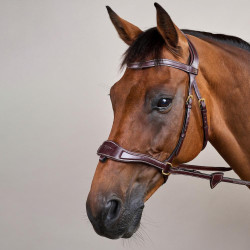 Brida D Motion D Collection de Dy'on Castaño Marrón Brida D Motion D Collection de Dy'on Castaño Marrón