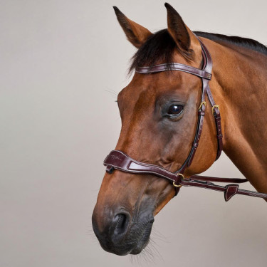 Brida D Motion D Collection de Dy'on Castaño Marrón Brida D Motion D Collection de Dy'on Castaño Marrón