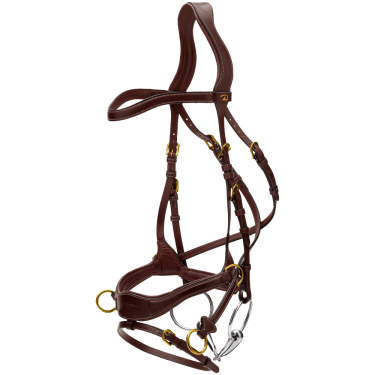 Brida D Motion D Collection de Dy'on Castaño Marrón Brida D Motion D Collection de Dy'on Castaño Marrón