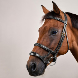 Brida Doble Muserola D Collection by Dy'on Negro