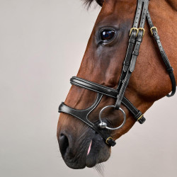 Brida Doble Muserola D Collection by Dy'on Negro