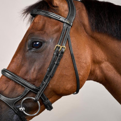 Brida Doble Muserola D Collection by Dy'on Negro