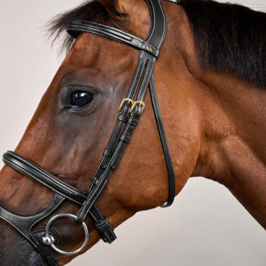 Brida Doble Muserola D Collection by Dy'on Negro