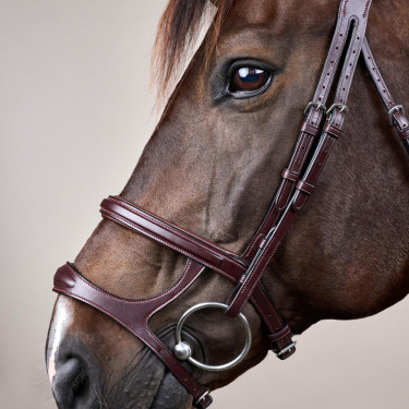 Brida Doble Muserola New English Collection by Dy'on Castaño Marrón