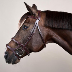 Brida Doble Muserola New English Collection by Dy'on Castaño Marrón