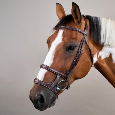 Brida Doble Muserola Colección US de Dy'on Castaño Marrón Brida Doble Muserola Colección US de Dy'on Castaño Marrón