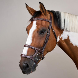 Brida Doble Muserola Colección US de Dy'on Castaño Marrón Brida Doble Muserola Colección US de Dy'on Castaño Marrón