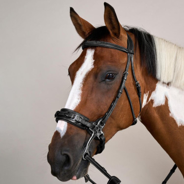 Brida Hackamore Colección US de Dy'on Negro