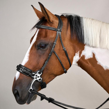 Brida Hackamore Colección US de Dy'on Negro