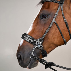 Brida Hackamore Colección US de Dy'on Negro