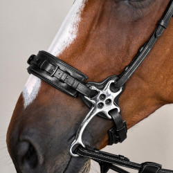Brida Hackamore Colección US de Dy'on Negro